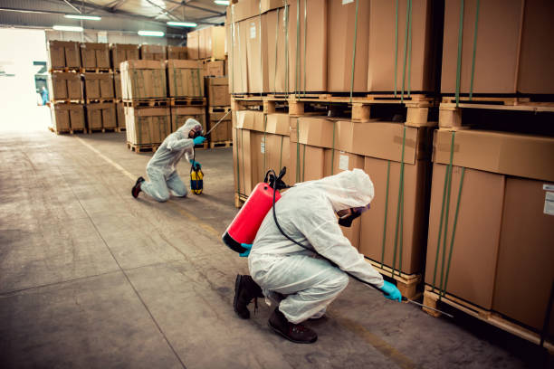 Best Pest Inspection Near Me  in Halls, TN