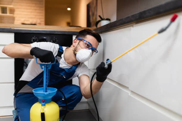Best Bed Bug Extermination  in Halls, TN
