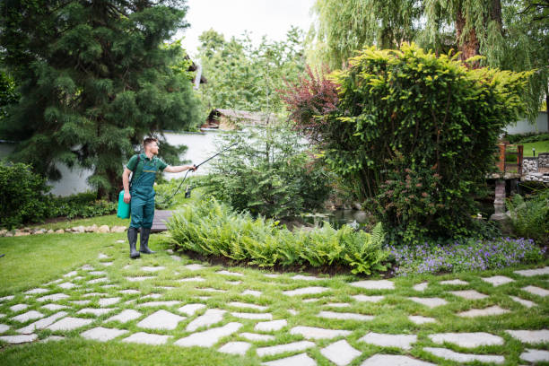 Best Mosquito Control Services  in Halls, TN