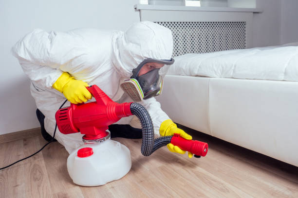 Wasp Removal Services in Halls, TN
