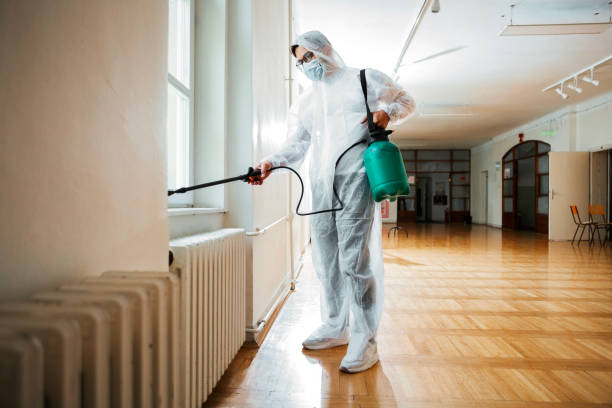 Trusted Halls, TN Pest Control Experts